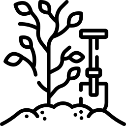 tree planting icon