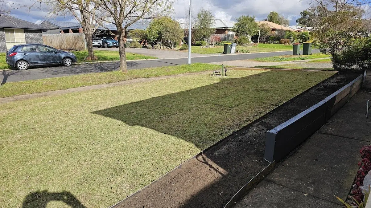 Freshly installed turf grass in commercial property front yard bounded by steel lawn edging and retaining wall
