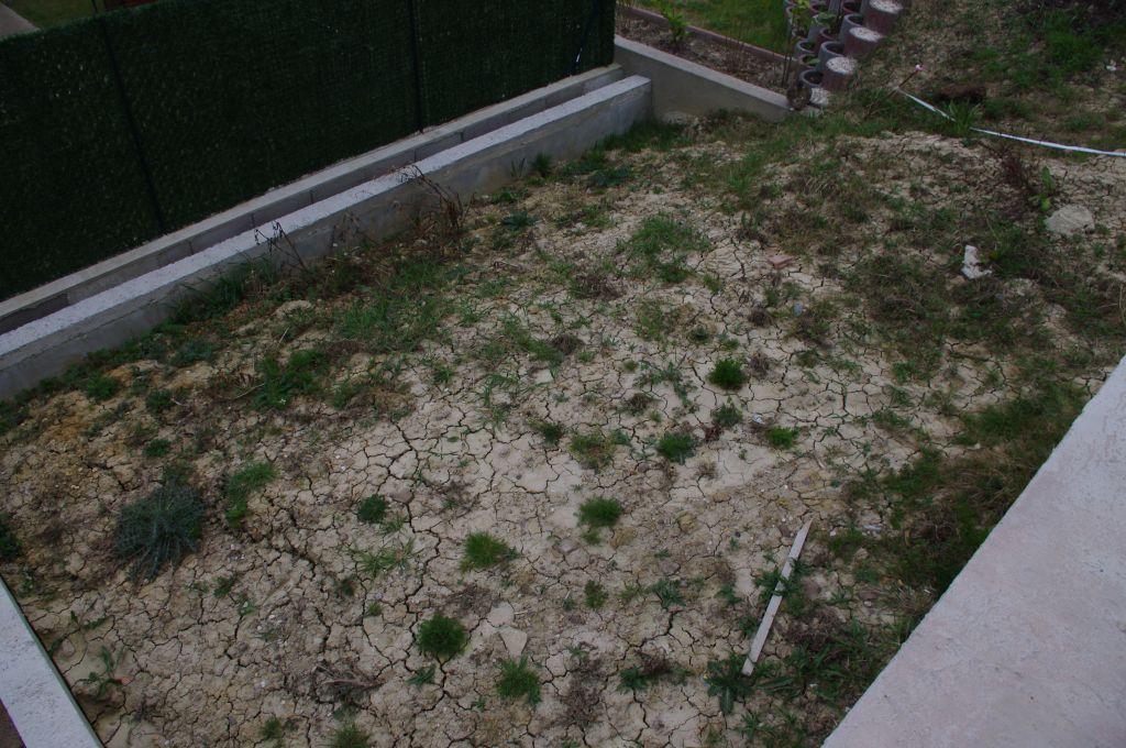 Reactive clay soil cracking during dry conditions in a Melbourne backyard